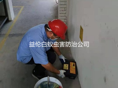 鐘落潭廠區滅治老鼠