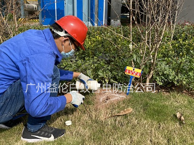 黃埔園區紅火蟻防治工程